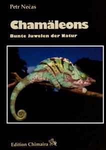 Chamleons in der Natur