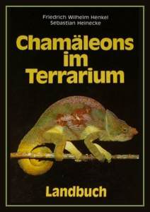 Foto: Chamleons im Terrarium 