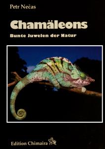 Chamäleons in der Natur