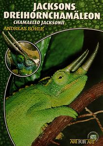 Jacksons Dreihornchamäleon Fachbuch (Chamaeleo Jacksonii)