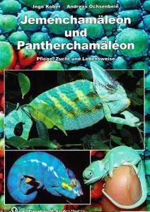 Jemenchamäleon und Pantherchamäleon
