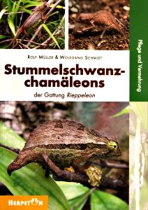 Buch Rieppeleon Stummelschwanzchamaeleons